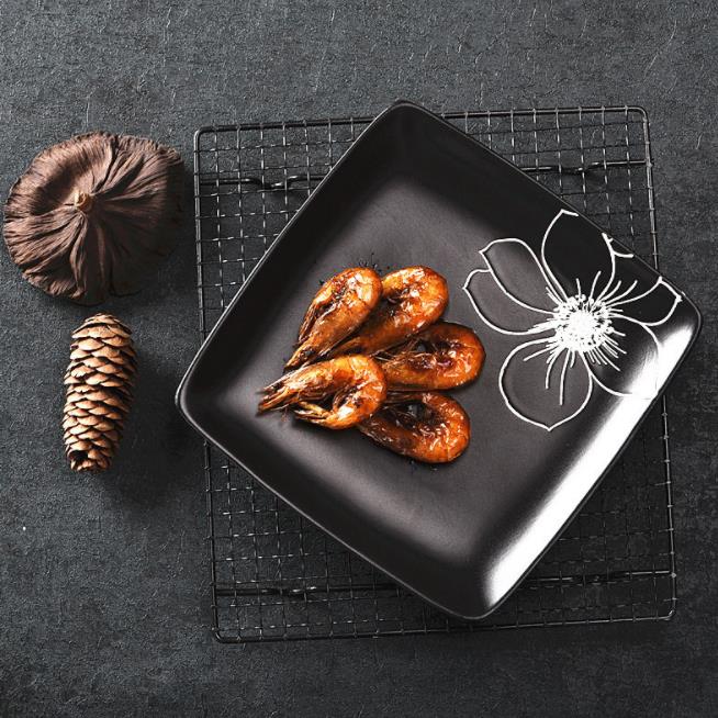 Creative artist with plate | Dinnerware Suppliers